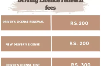 Renewal-fees