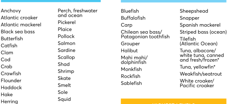 seafood-mercury