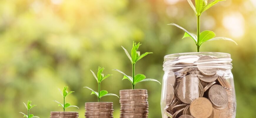 understanding-the-value-of-moon-cats-in-the-grow-a-garden-market