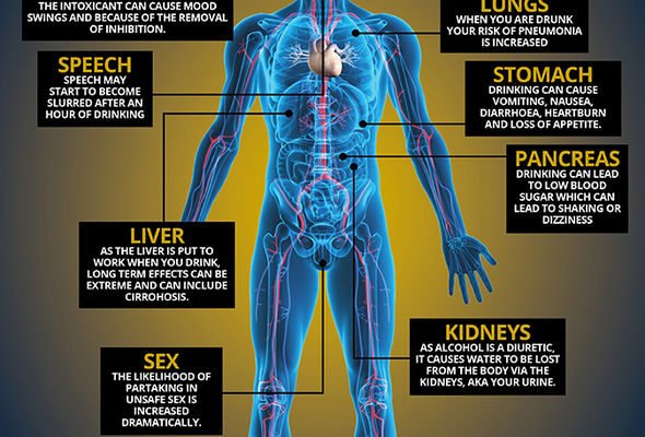 alcohol-what-does-it-do-to-your-body-effects-explained