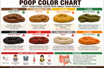 color-and-meaning-of-poop-what-your-stool-is-telling-you