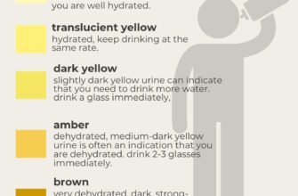 color-and-meaning-of-urine-what-your-pee-reveals
