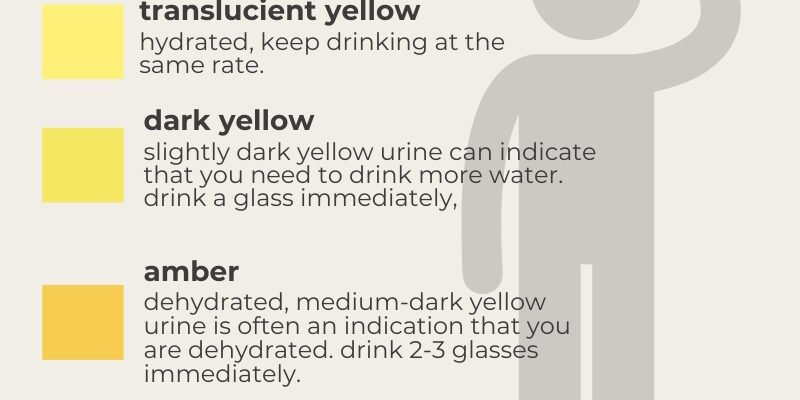 color-and-meaning-of-urine-what-your-pee-reveals