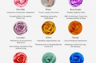 colors-and-meaning-of-roses-what-each-shade-symbolizes
