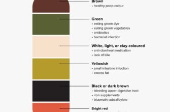 feces-is-green-what-does-it-mean-causes-and-care