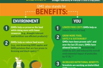 gmo-what-does-it-stand-for-meaning-and-safety