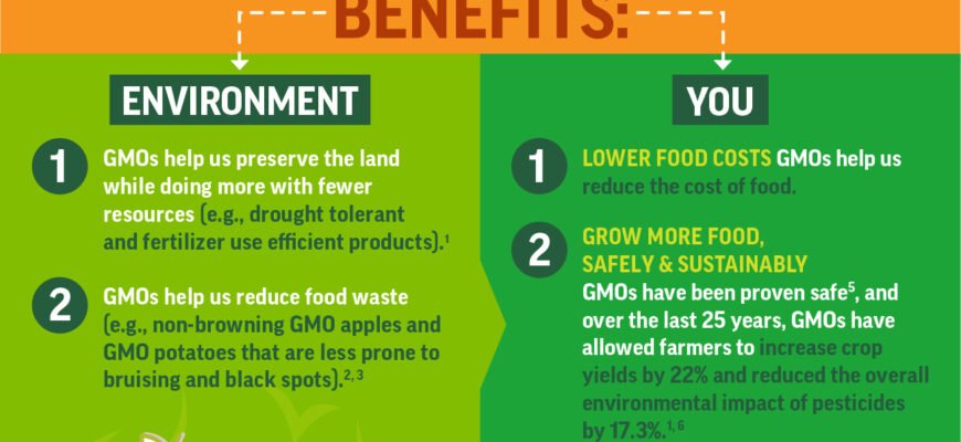 gmo-what-does-it-stand-for-meaning-and-safety