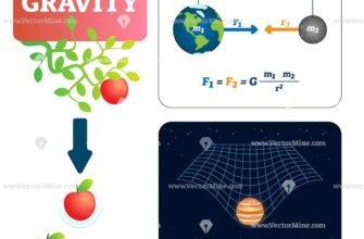 gravity-what-is-it-and-how-does-it-work-explained