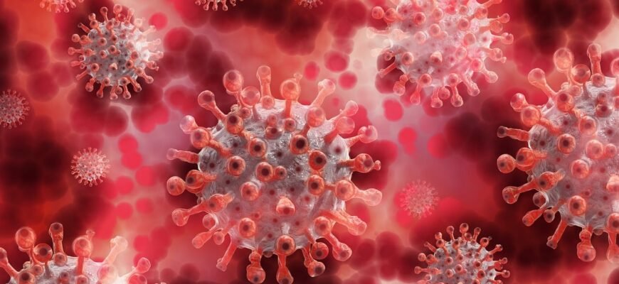 how-does-plasma-donation-work-process-and-payment
