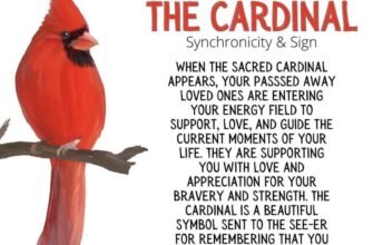 meaning-of-a-cardinal-spiritual-and-symbolic-messages