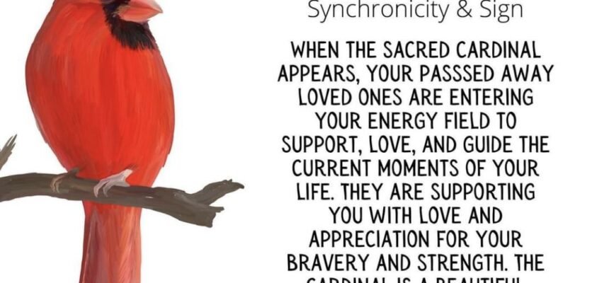 meaning-of-a-cardinal-spiritual-and-symbolic-messages