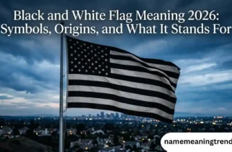 meaning-of-black-and-white-us-flag-symbolism-explained