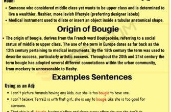 meaning-of-bougie-slang-origin-and-usage