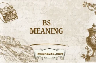 meaning-of-bs-common-uses-and-origins