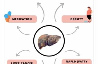 meaning-of-high-liver-enzymes-causes-and-next-steps