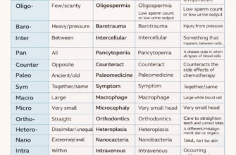 meaning-of-in-medical-terms-common-prefixes-and-terms