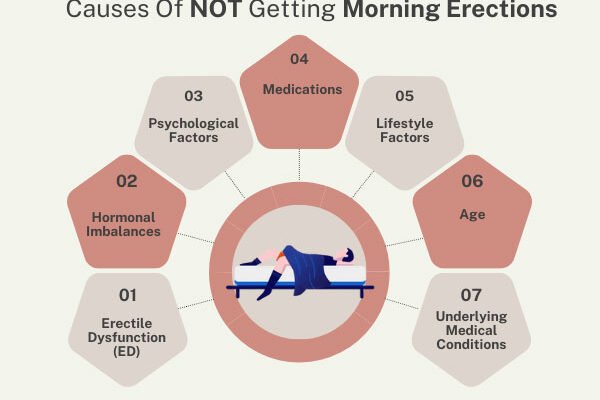 meaning-of-morning-wood-causes-and-facts