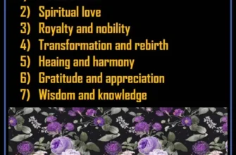 meaning-of-purple-roses-symbolism-and-occasions