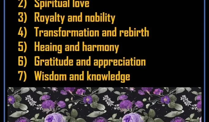 meaning-of-purple-roses-symbolism-and-occasions