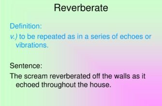 meaning-of-reverberate-definition-and-examples