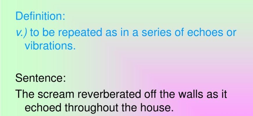 meaning-of-reverberate-definition-and-examples