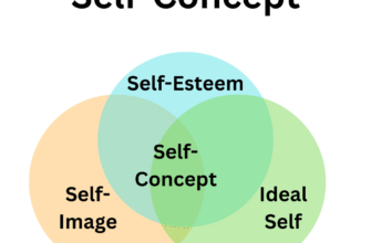 meaning-of-self-concept-definition-and-development