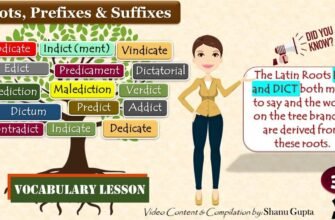 root-meaning-of-dict-words-and-examples