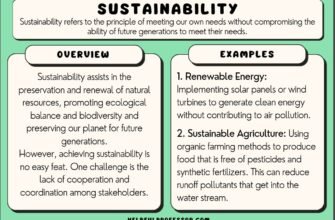 sustainability-what-does-it-mean-definition-and-examples