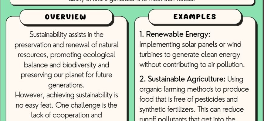 sustainability-what-does-it-mean-definition-and-examples