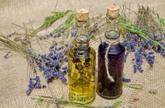 what-are-current-oil-prices-market-trends-and-drivers