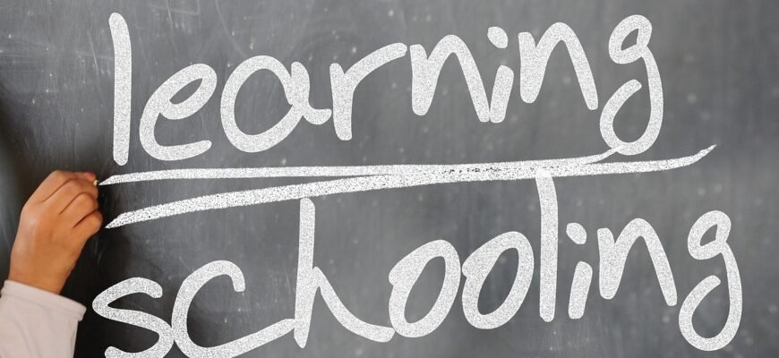 what-are-data-science-skills-tools-and-careers