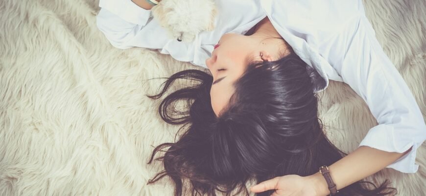 what-does-a-dog-dream-about-sleep-science-explained