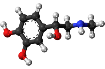 what-does-cortisol-hormone-do-functions-and-stress-effects