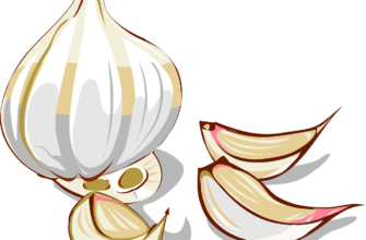what-is-garlic-cloves-uses-benefits-and-storage
