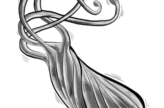 what-is-helicobacter-infection-h-pylori-symptoms-and-care